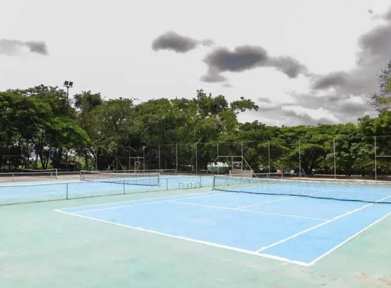 Sports turf
